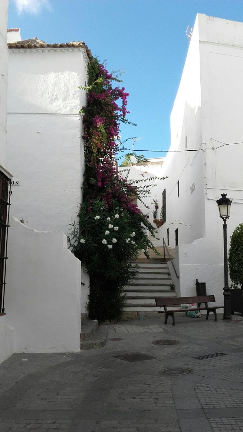 Casa Calle Alta Maria Bajo Vejer de la Frontera Luaran gambar